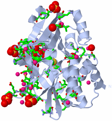 Image Biol. Unit 1 - sites