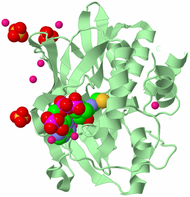 Image Biological Unit 2