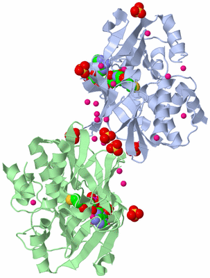 Image Biological Unit 3