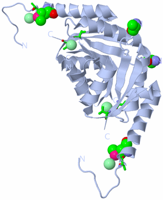 Image Biol. Unit 1 - sites