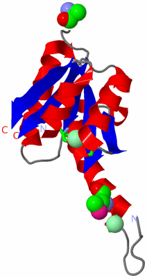 Image Asym. Unit - sites