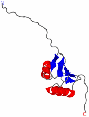 Image NMR Structure - model 1