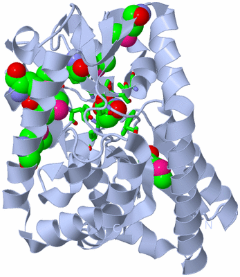 Image Biol. Unit 1 - sites