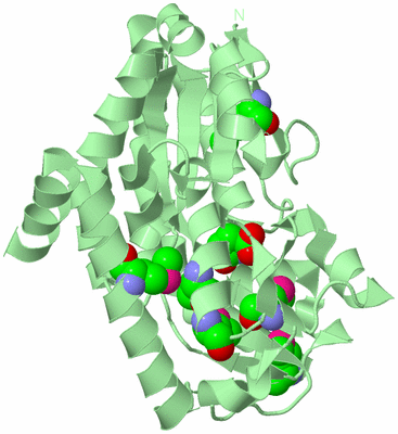 Image Biological Unit 2