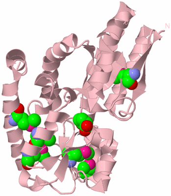 Image Biological Unit 3