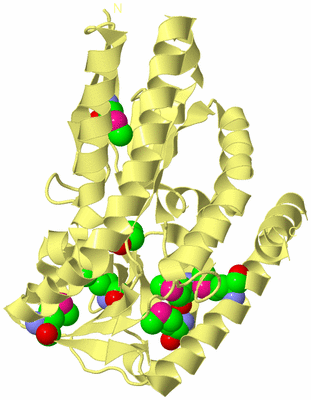 Image Biological Unit 4