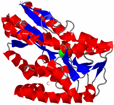 Image Asym./Biol. Unit