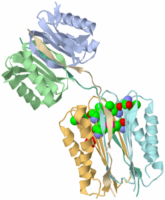 Image Biological Unit 1