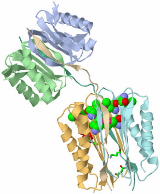 Image Biol. Unit 1 - sites