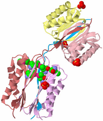 Image Biological Unit 2