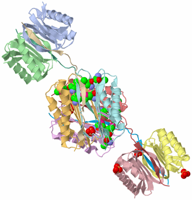 Image Biological Unit 3