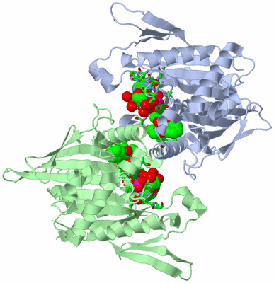 Image Asym./Biol. Unit - sites