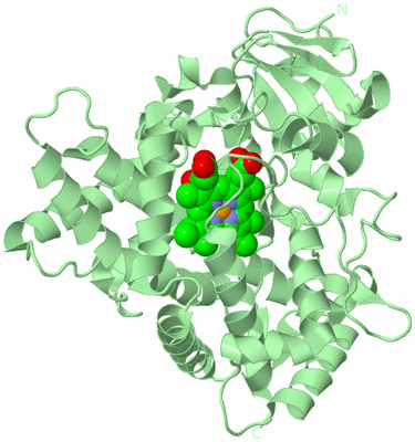 Image Biological Unit 2