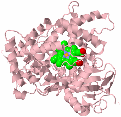 Image Biological Unit 3