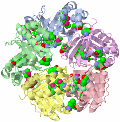 Image Asym./Biol. Unit - sites