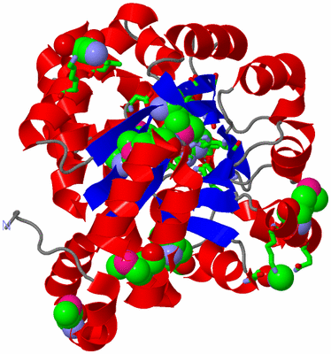 Image Asym./Biol. Unit - sites