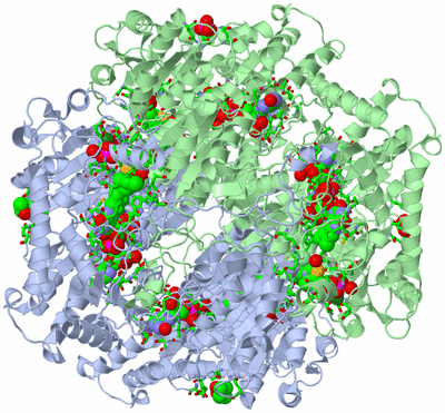 Image Biol. Unit 1 - sites