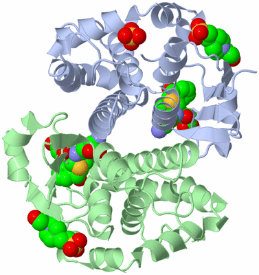 Image Asym./Biol. Unit