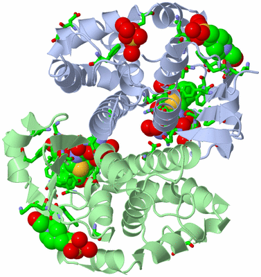 Image Asym./Biol. Unit - sites