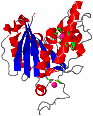 Image Asym. Unit - sites