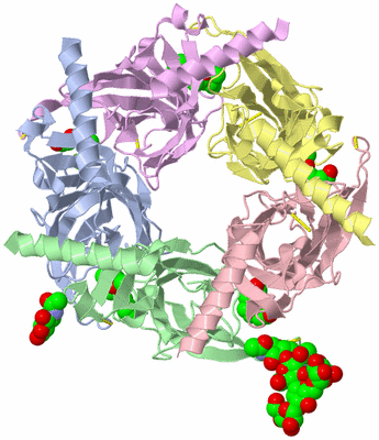 Image Asym./Biol. Unit