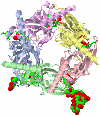 Image Asym./Biol. Unit - sites