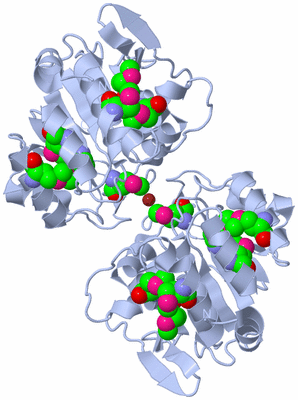 Image Biological Unit 1