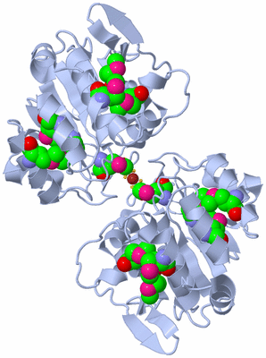 Image Biol. Unit 1 - sites