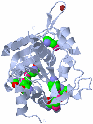 Image Biological Unit 2