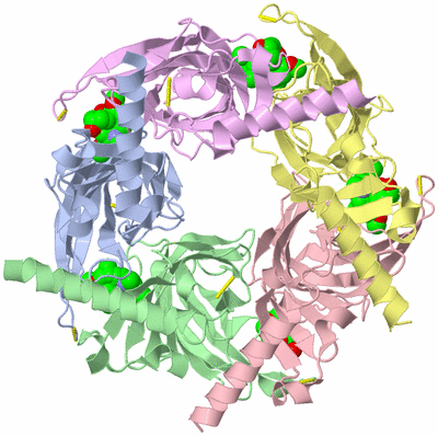 Image Asym./Biol. Unit