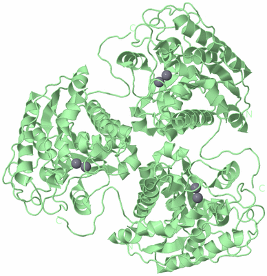 Image Biological Unit 3