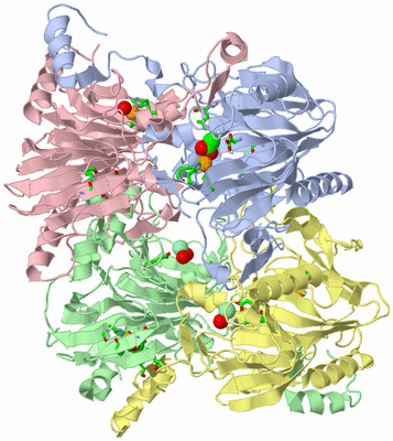 Image Asym./Biol. Unit - sites