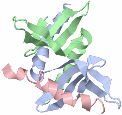 Image NMR Structure - model 1