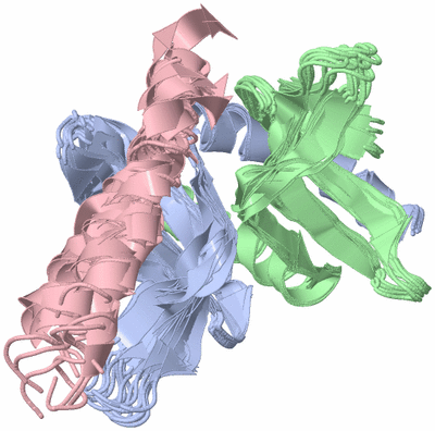 Image NMR Structure - all models