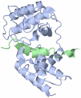 Image NMR Structure - model 1