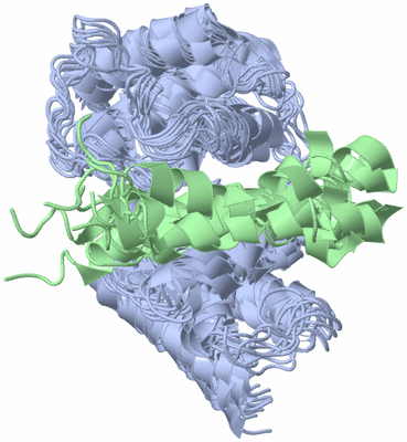 Image NMR Structure - all models