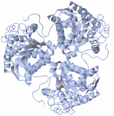 Image Biological Unit 1