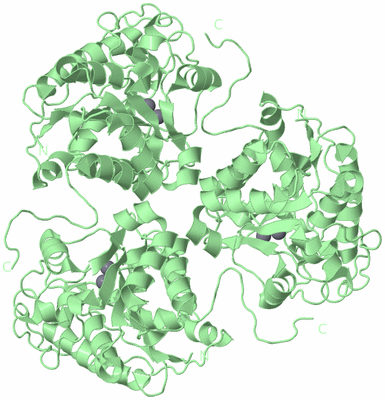 Image Biological Unit 3