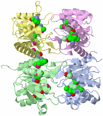 Image Asym./Biol. Unit