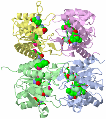 Image Asym./Biol. Unit - sites