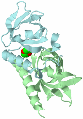 Image Biological Unit 2