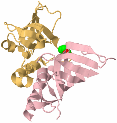 Image Biological Unit 3