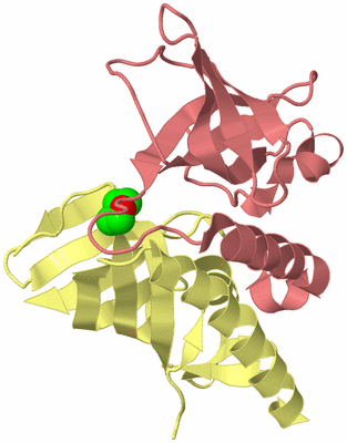 Image Biological Unit 4