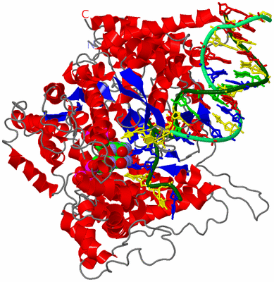 Image Asym./Biol. Unit