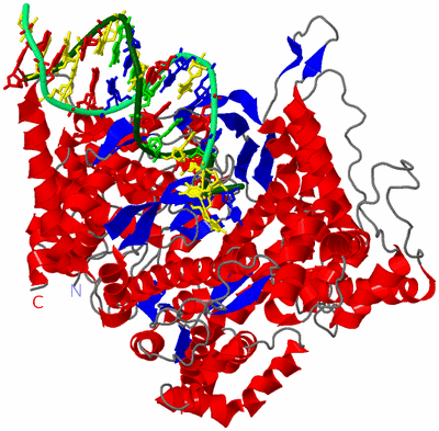 Image Asym./Biol. Unit