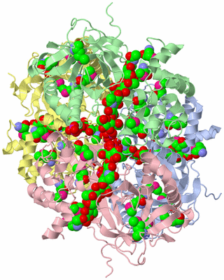 Image Asym./Biol. Unit