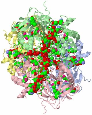 Image Asym./Biol. Unit - sites