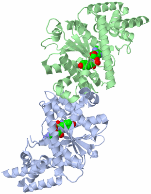 Image Asym./Biol. Unit