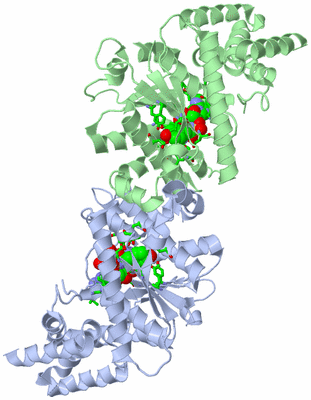 Image Asym./Biol. Unit - sites