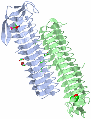 Image Asym./Biol. Unit - sites